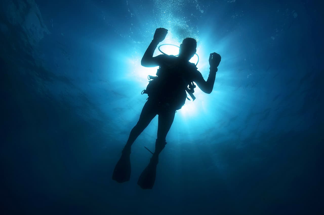 Oris Diver Watch Review